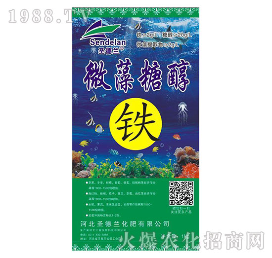 ΢���Ǵ��F-ʥ���m