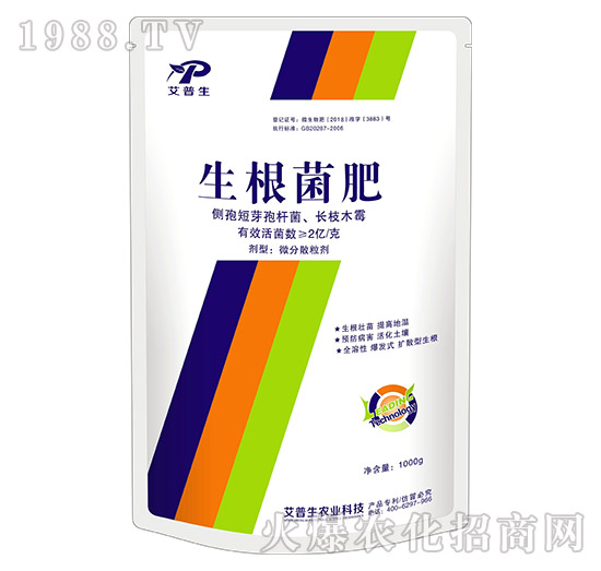 ��������--������