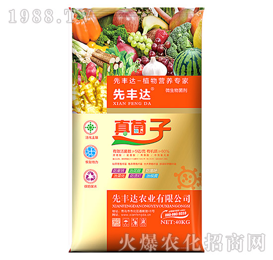 ֲ��I�B(y��ng)����-�����-���S�_