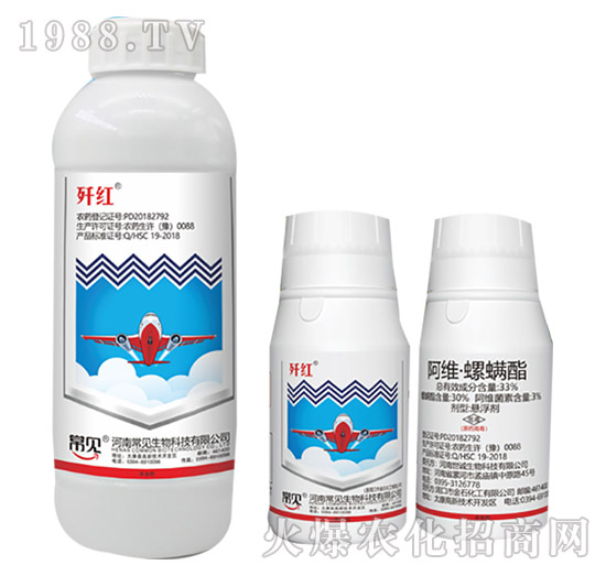 33%���S��������-���t-��ʯ����