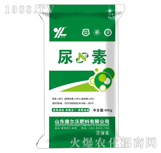 ����-���-� ���