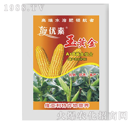 ���S��-�S������