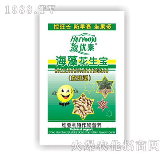 ���廨����-�S������