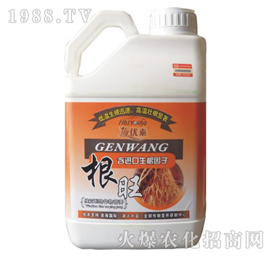 ����-�S������