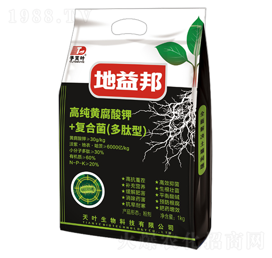 �߼��S�����+�ͺϾ��������ͣ�-�����-���~����