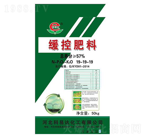 ���ط���19-19-19-�����_(d��)