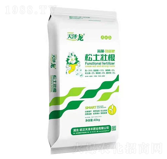 ���塤���ܷ�-�����Ѹ�-�����