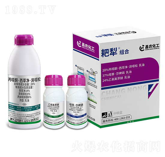 28%���fͪ�����݃������f��+24%����������+37%�f�ݡ�ɯ����-����M��-���r����