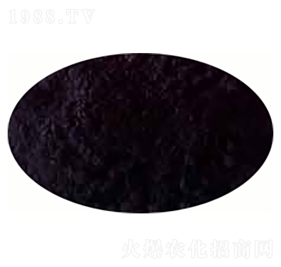 �l(f��)���u�S�ӱ�-ݷ�W����