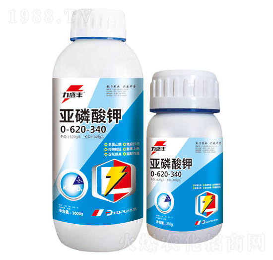 �������-����