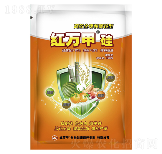 ��Чȫ�����w���͹�-�t�f(w��n)��