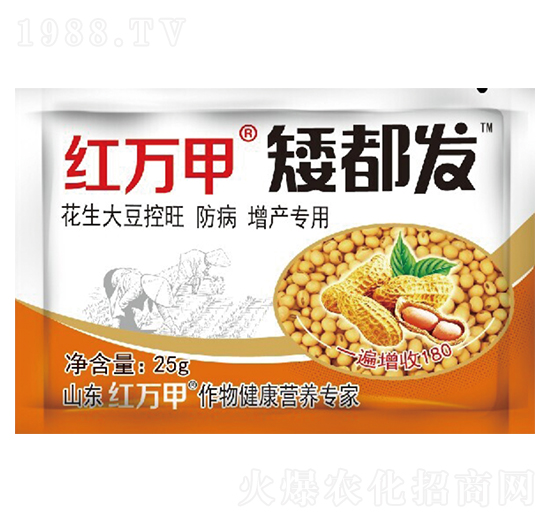 �����l(f��)-�󶹌���-�t�f(w��n)��