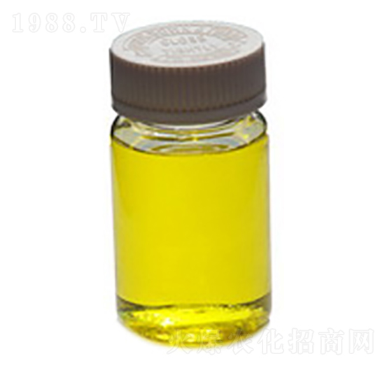 Һ�w���}��-ïʩ���B(t��i)��