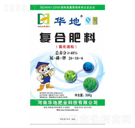 48%�ͺϷ���26-16-6-�A�طʘI(y��)