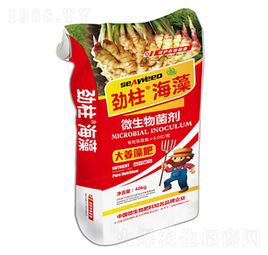 �����΢�������-����������-형r�