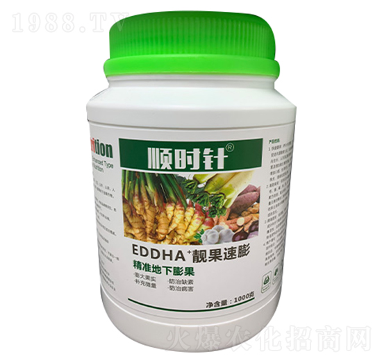 ����(zh��n)�������-�n������-형r�