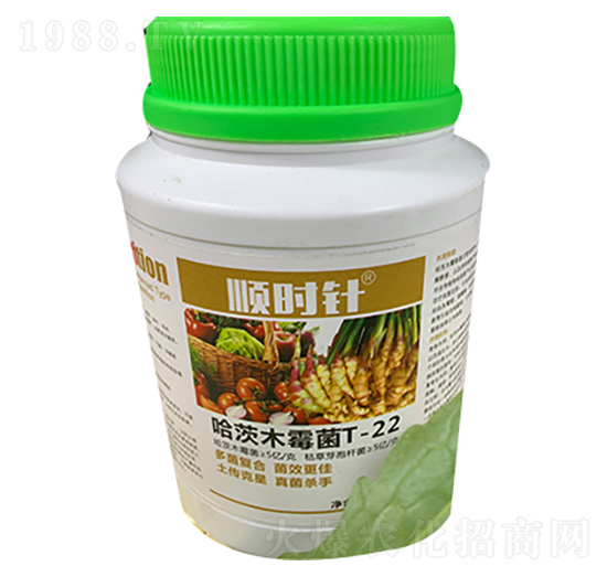 ����ľù��-형r�