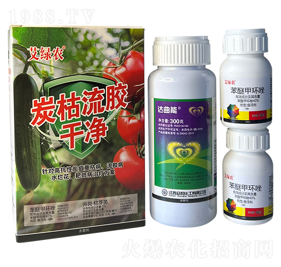 ̿�����z�Ƀ�-���G�r(n��ng)-���r(n��ng)�A��