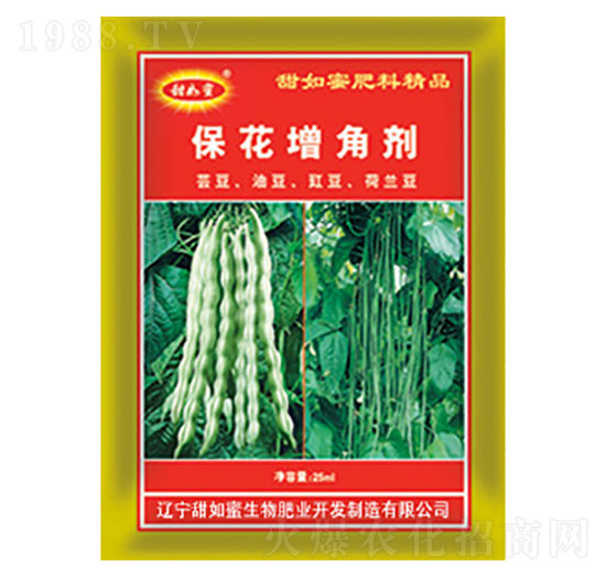 �������Ǆ�-������