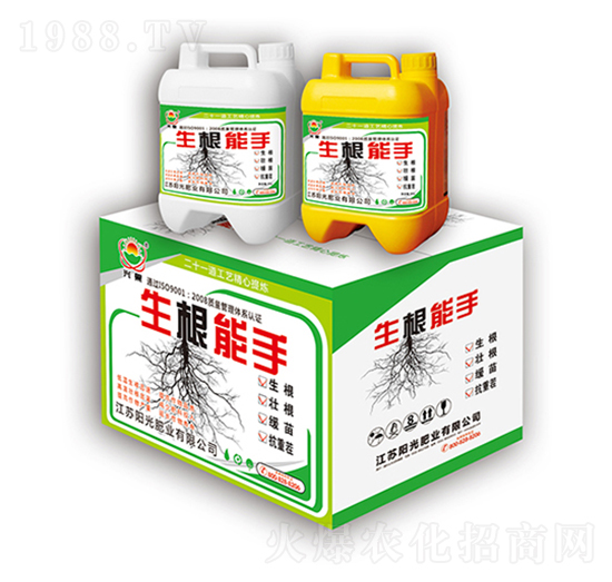 ��������-�(y��ng)��ʘI(y��)