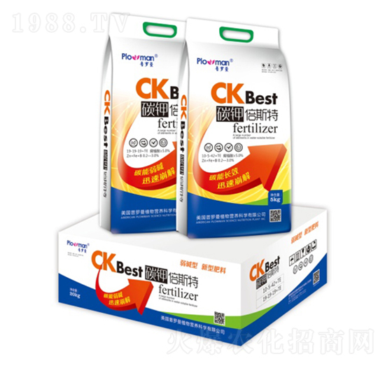 ̼⛱�˹��-ꖹ�ʘI(y��)