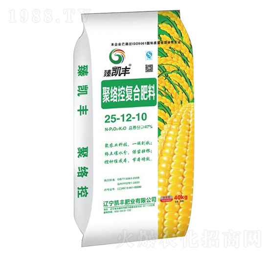 �۽j(lu��)�؏�(f��)�Ϸ���25-12-10-��P�S-�P�S�ʘI(y��)