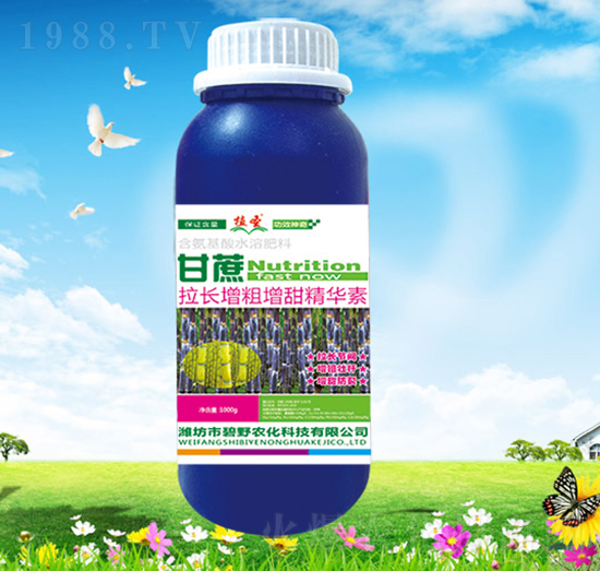 �������L���������A��-��Ұ�r��