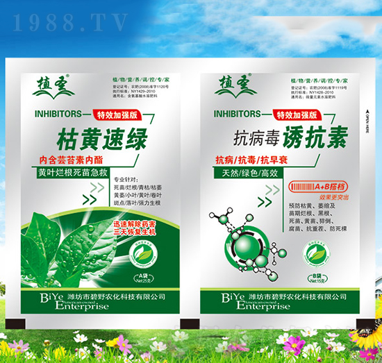 ���S�پG+�������T����-ֲʥ-��Ұ�r(n��ng)��