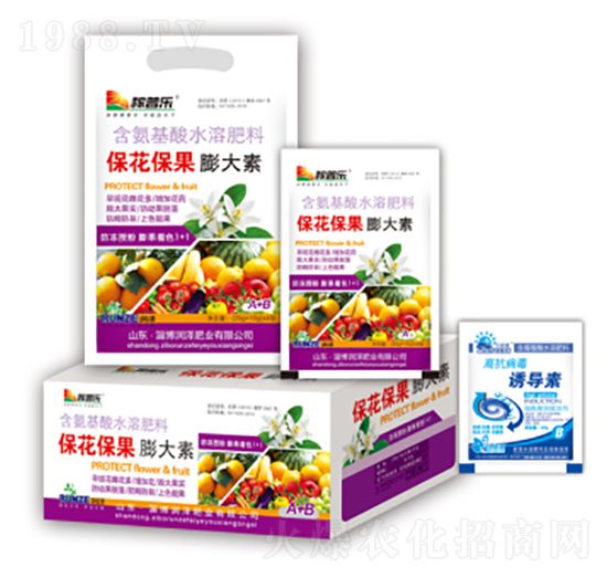 �������������-���ɷʘI(y��)