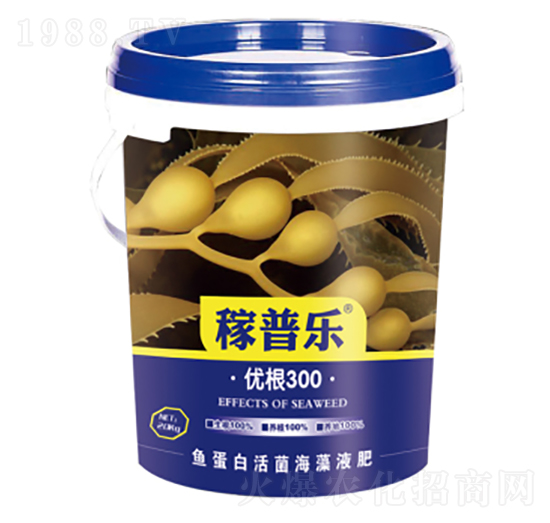 ��(y��u)��300-���՘�-��(r��n)�ɷʘI(y��)