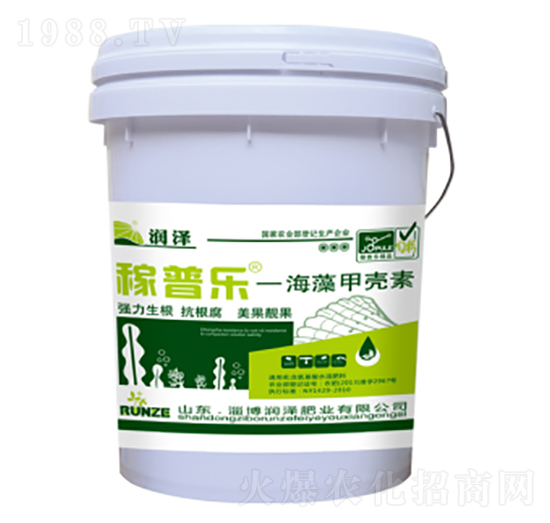 ����ך���-���՘�-��(r��n)�ɷʘI(y��)