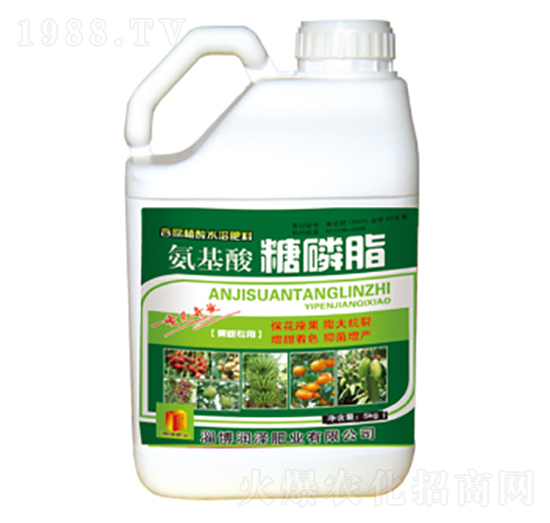 ����������֬-���ɷʘI(y��)