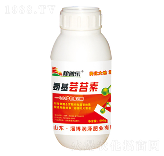 �����|̦��-���՘�-��(r��n)�ɷʘI(y��)