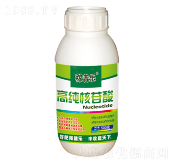 �߼�������-���՘�-���ɷʘI(y��)