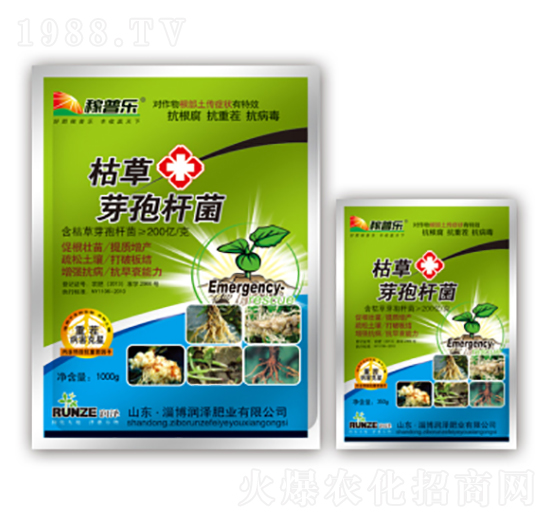 �ݲ�ѿ�ߗU��-���՘�-��(r��n)�ɷʘI(y��)