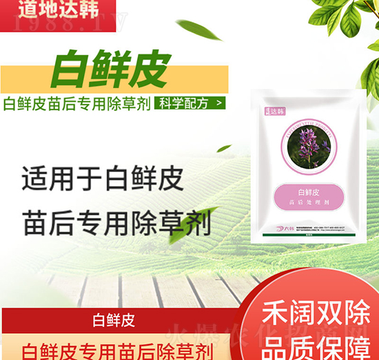 ���rƤ���݄�-���rƤ���-���rƤ����-���n