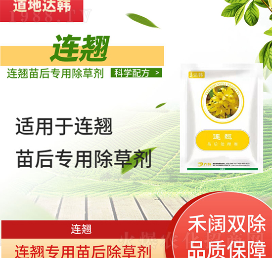 �B�N���݄�-�B�N���-�B�N����-���n