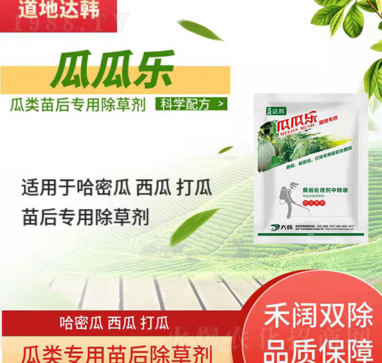 ����݄�-������-�����-�ϹϘ�-���n