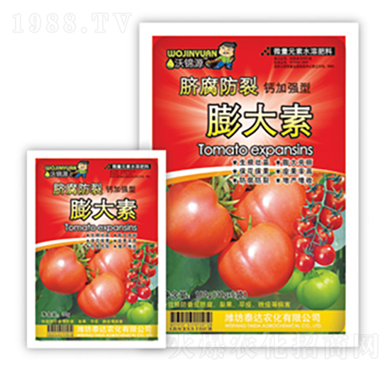 Ě�����������-̩�_�r��