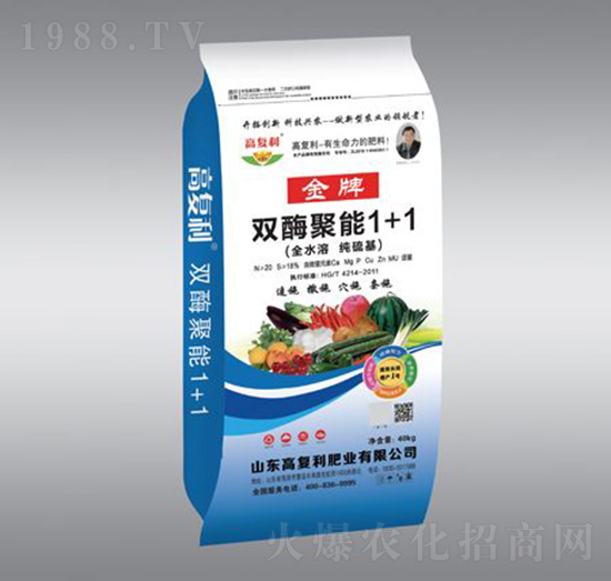 �����pø����1+1-�߸����ʘI(y��)