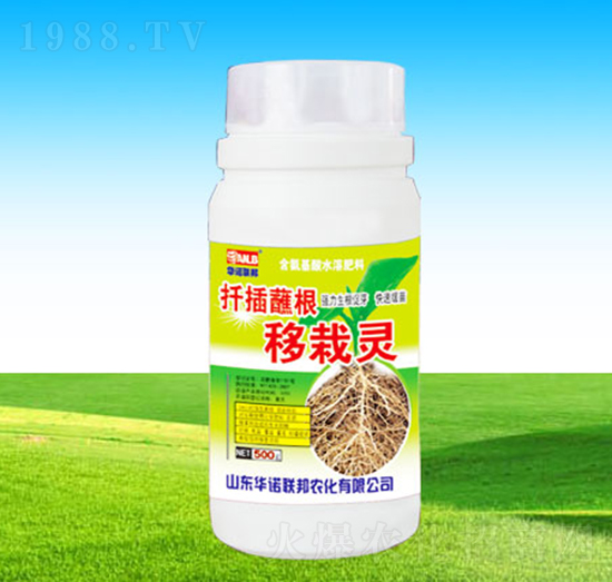 Ǥ��պ�������`-�A�Z��