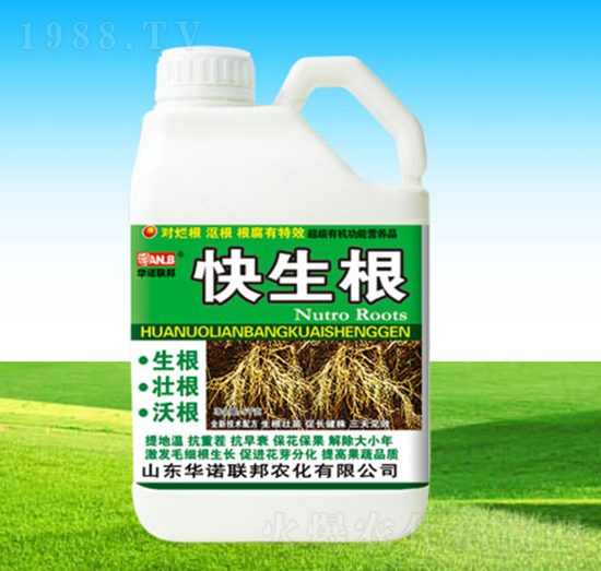 ������-�A�Z(li��n)��