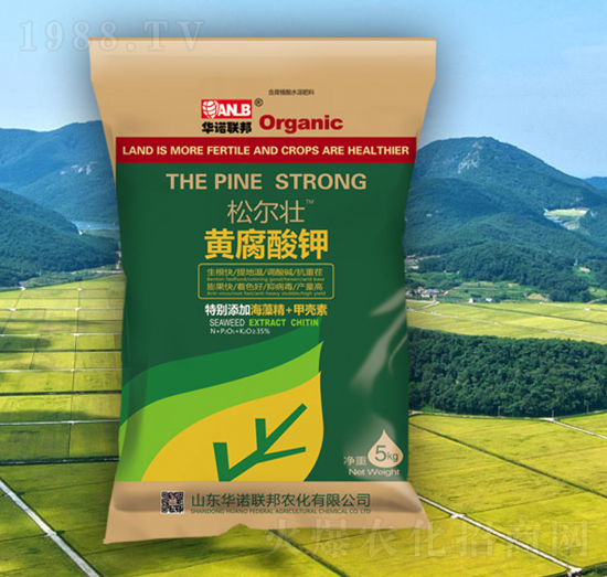 �ɠ����S�����-�A�Z(li��n)��