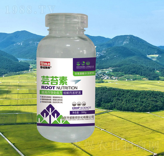 �|̦��-�A�Z(li��n)��