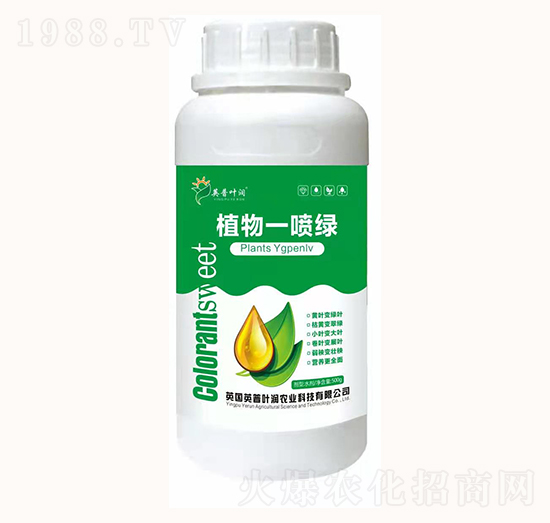 ֲ��һ���G-Ӣ���~��