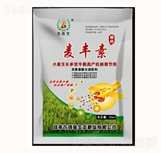 ���S��-�r�Ì�