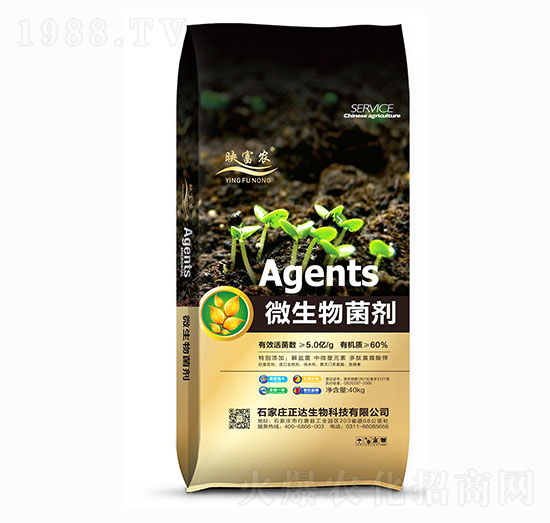 ΢�������-ӳ���r(n��ng)-���_(d��)����