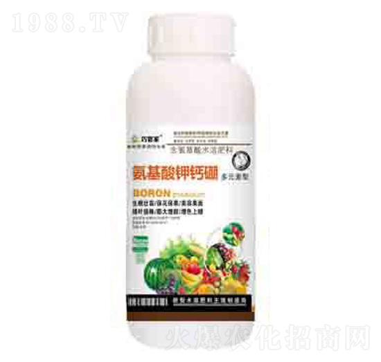 ��������}�� ����