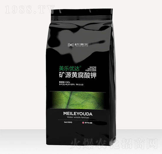 �VԴ�S����� ������(y��u)�_(d��) ���