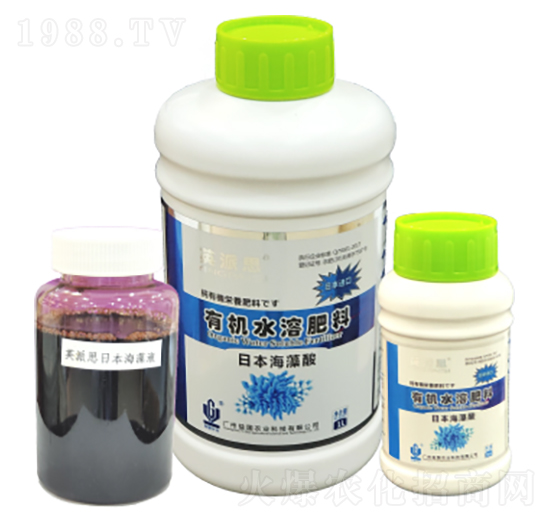 Ӣ��˼���ձ������� ���(gu��)�r(n��ng)�I(y��)